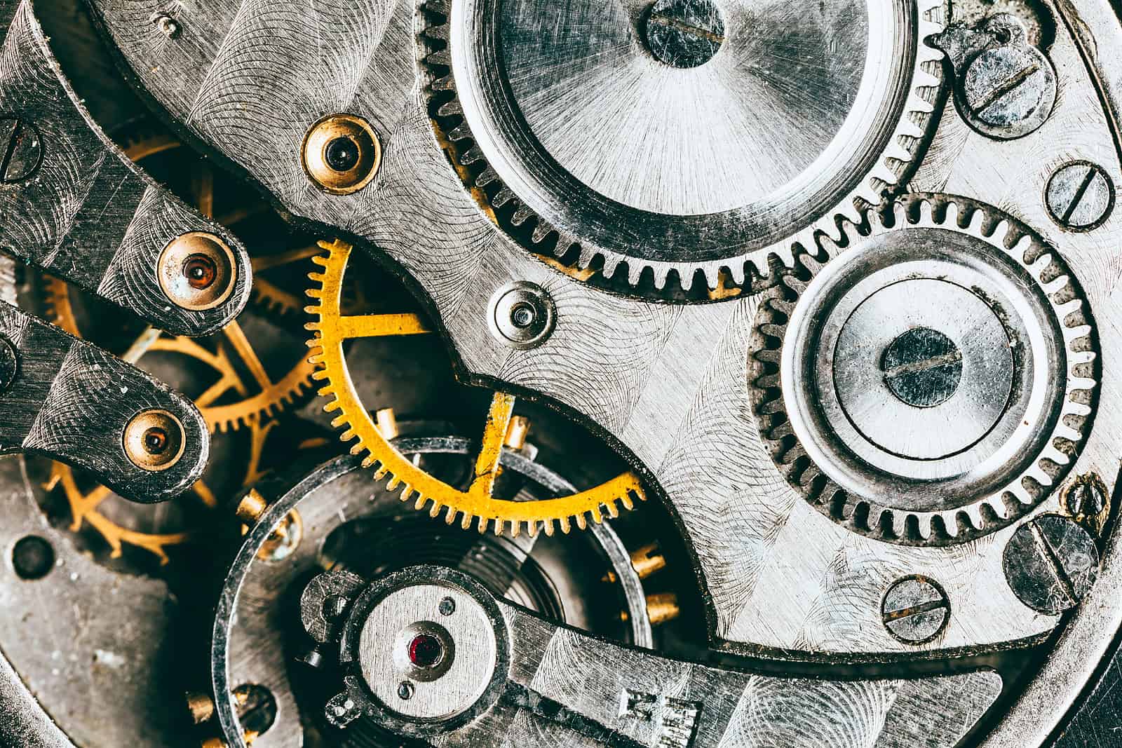 Membership Keeps AATC Ticking